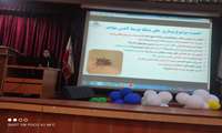  برگزاری جلسه آموزشی تب دنگی با هدایت مدیریت پرستاری دانشگاه 